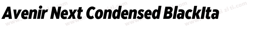 Avenir Next Condensed BlackItalic字体转换
